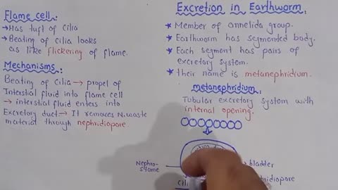 Excretion in earthworm - Metanephridium - Class 12 Biology_Cut