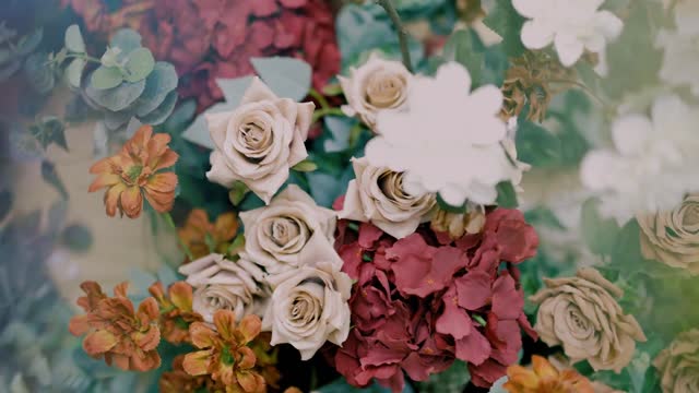 Zommaysa - 'Make you mind' MV