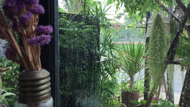 Relax rain sound 1 hour for focus, work, study and meditation