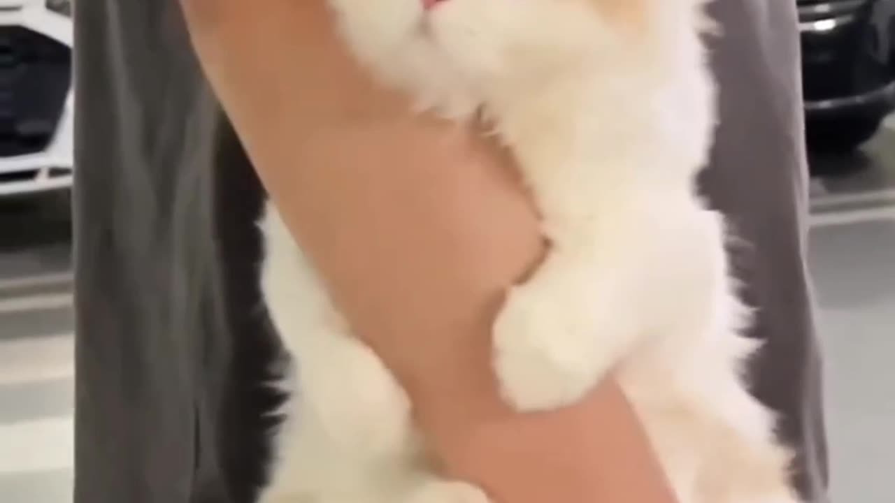That meow🥺!