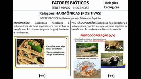 Relações Ecológicas - MinhaEscolaWeb