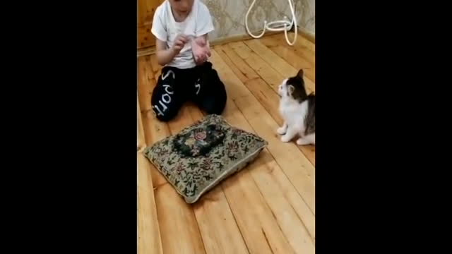 Kitten attacks a child