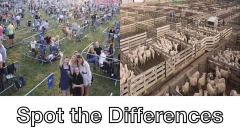 Spot the Differences...