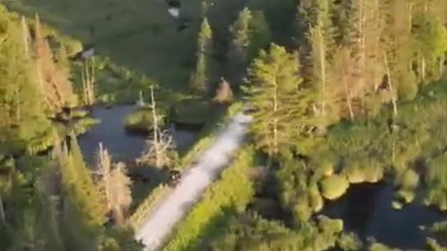 ATV Trail North Of Burnt River On The Victoria Rail Trail