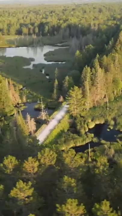 ATV Trail North Of Burnt River On The Victoria Rail Trail