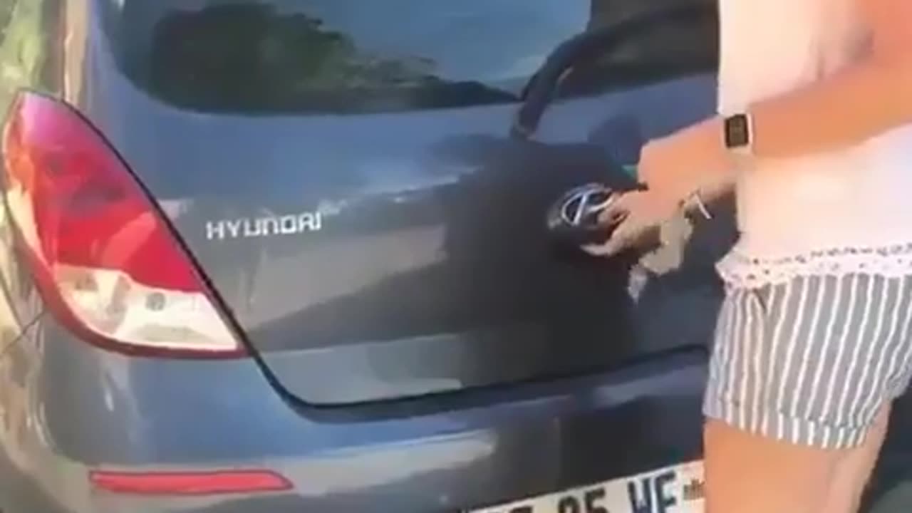 Surpriseeeee🐕