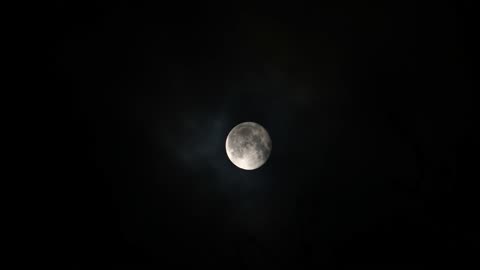 Moon Light