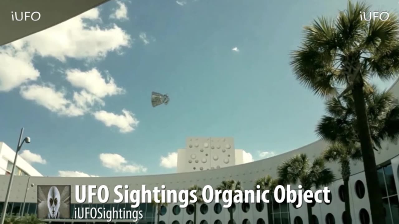 🛸 Unveiling Mexico's Best UFO Sightings! 👽