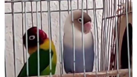 introverts with yours fav person
