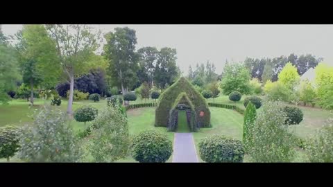 Tree Church - A living, breathing church in New Zealand