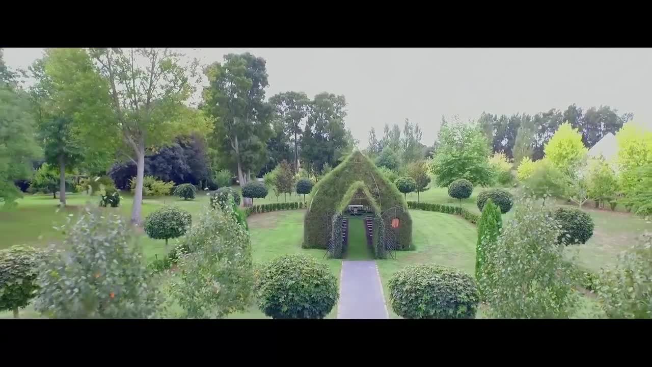 Tree Church - A living, breathing church in New Zealand