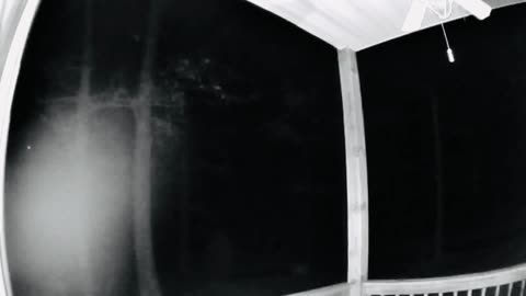Ghost on the porch