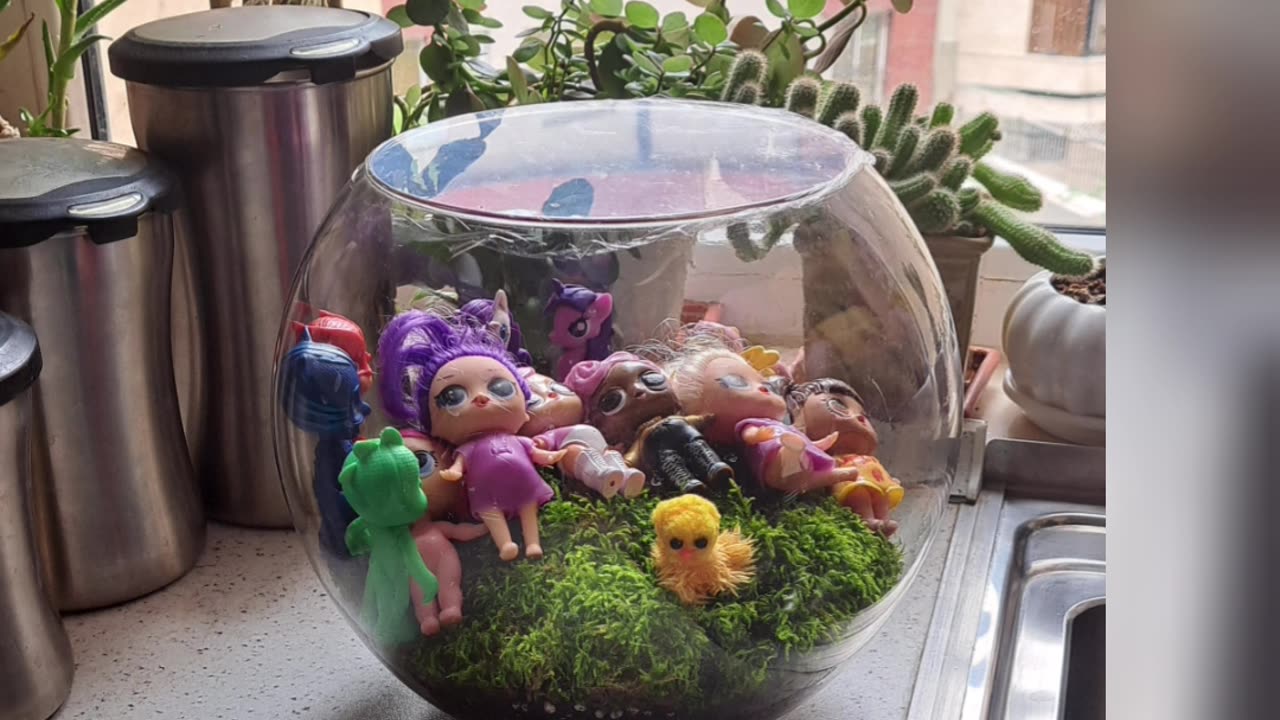 When I make a terrarium and ...