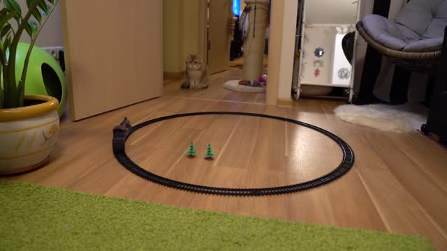 This video is for men Toy Train