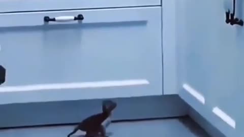 Never loose the confidence