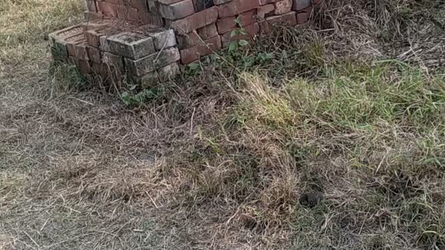Land view in India #india #india #india #india #india #india #india