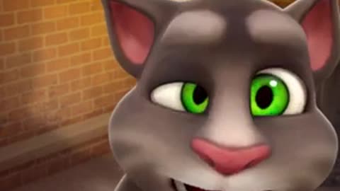 Funny cat video 😂 #funny #cat #funnyvideo