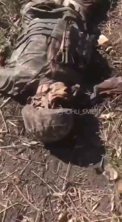 Meat grinder in ukraine