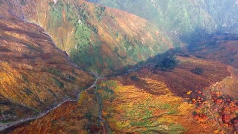 Enchanting Autumn Forests with Beautiful Piano Music