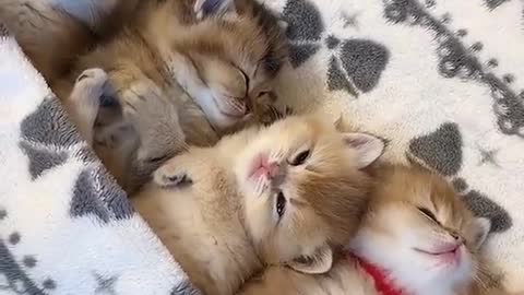 So cute.