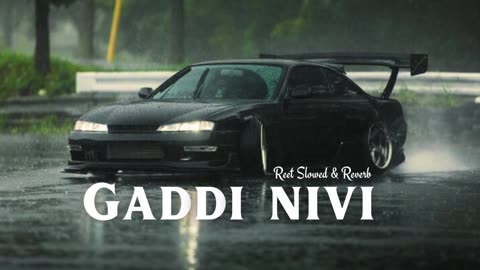 GADII NIVII