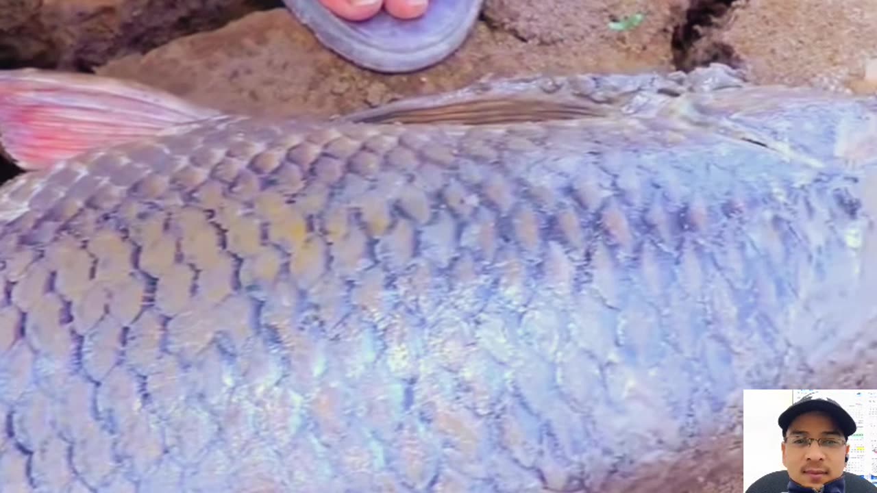 Best Fishing
