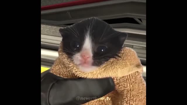 UNUSUAL MEMES COMPILATION