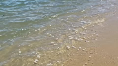 2/4 - Virtual Tour | Praia Costeira, Gov Celso Ramos - SC | 04.11.23