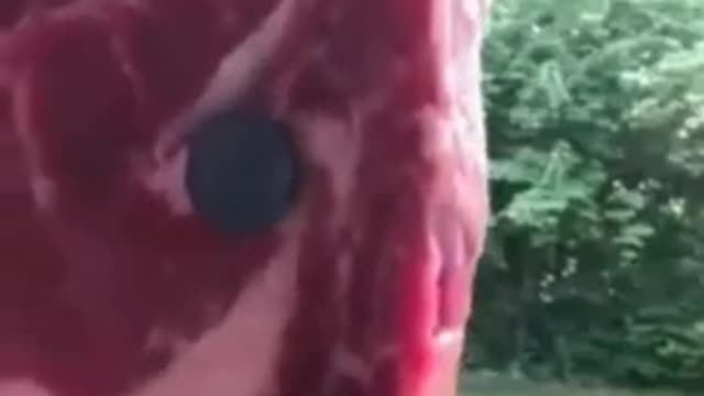 People finding that their meat is becoming magnetic