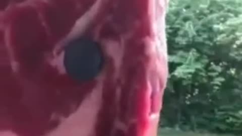 People finding that their meat is becoming magnetic