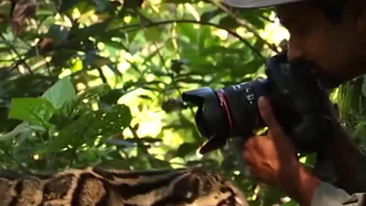 Photography in nature