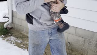 Son in Snowsuit Face Plants in the Snow