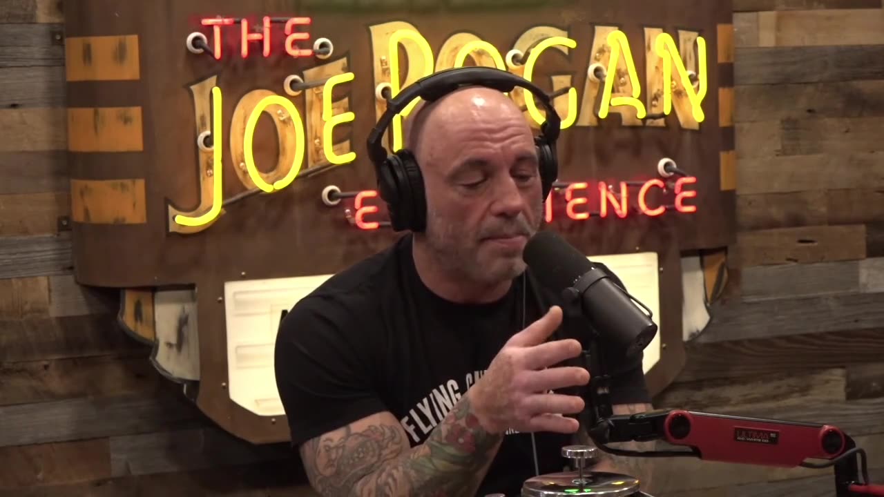 Joe Rogan & Steven Meyer Discuss God, Free Will, and Determinism, & a Murder