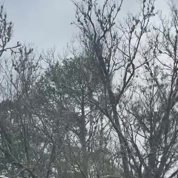 Dear Veterans - Derek Johnson / RattleTrap1776; Dec. 17, 2023