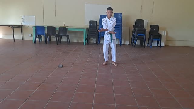 B21 - Warnevon Engelbrecht - Green - Pinan Nidan