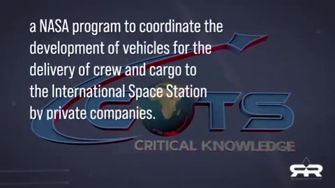 Report on Elon Musk!