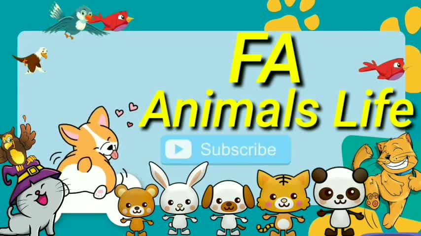 Best funny animal videos, 2022ππΈπΊ