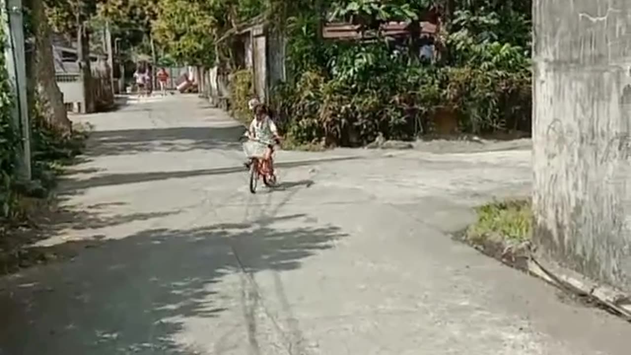 Girl Gives Her Pet Dog a Ride on a Bicycle