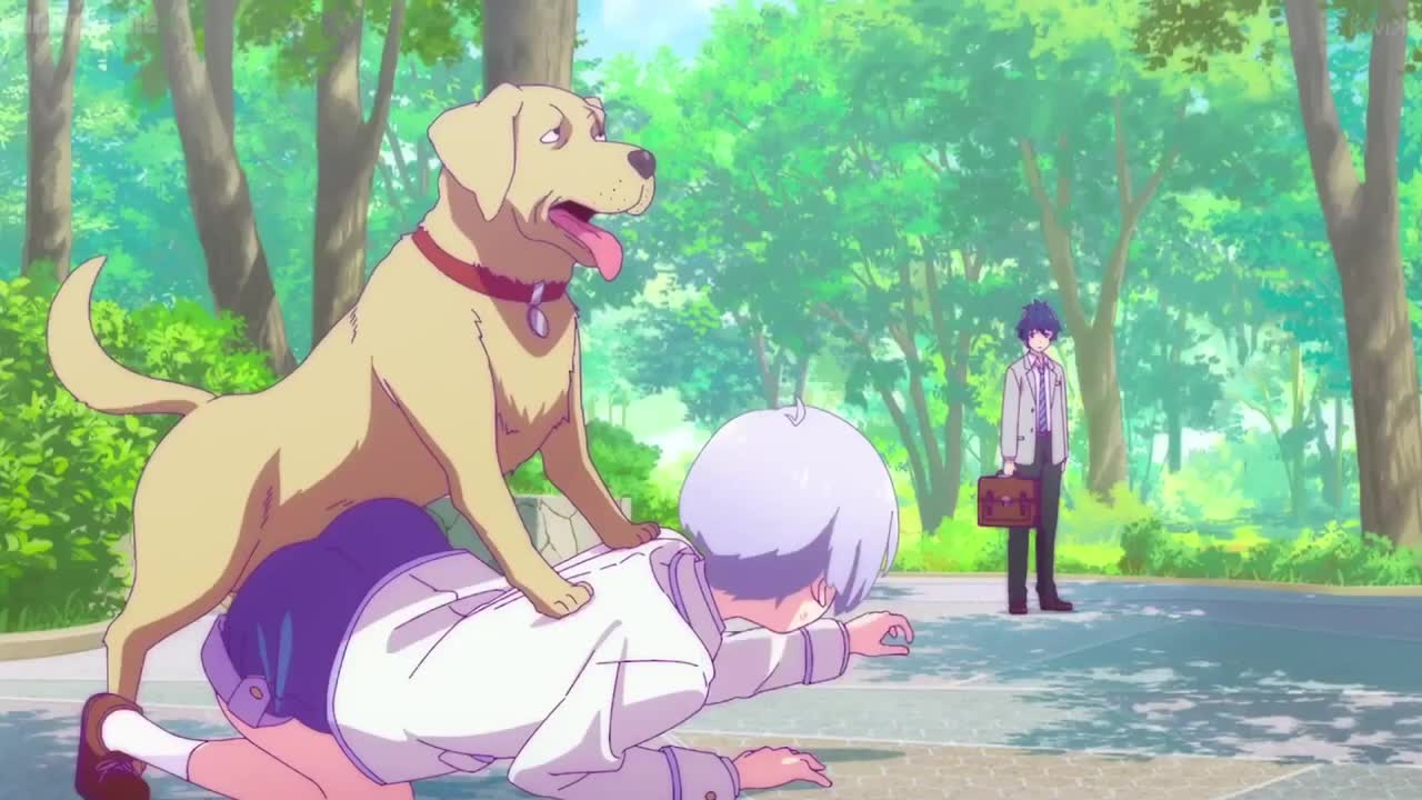 Girl Gets Humped By Dog | Renai Flops | Dan San | Anime