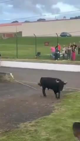 She wanted to fight the bull & be a MATADOR. BAD JOB choice it would seem