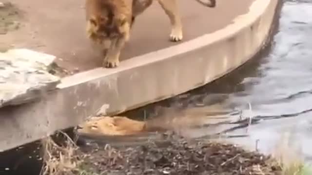 That universal feeling of terror when you skip a step accidentally