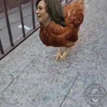 That's Exactly What Kamala Harris Is