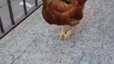 That's Exactly What Kamala Harris Is