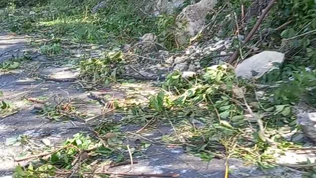 Part 2 of typhoon oddete damage.