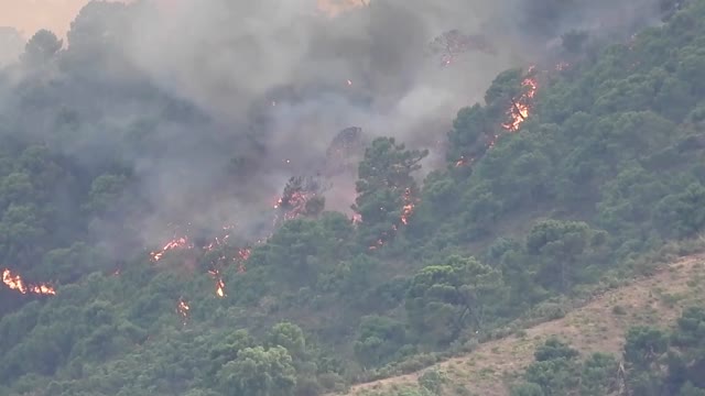 Wildfire in southern Spain, thousands evacuated