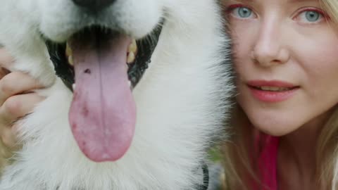 Alimenta a tu perro