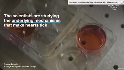 WEF: "Harvard scientist made a robotic fish from human heart cells"