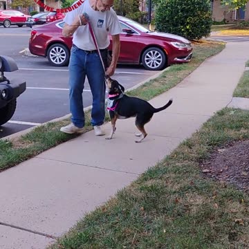 Maggie and the figure 6 game