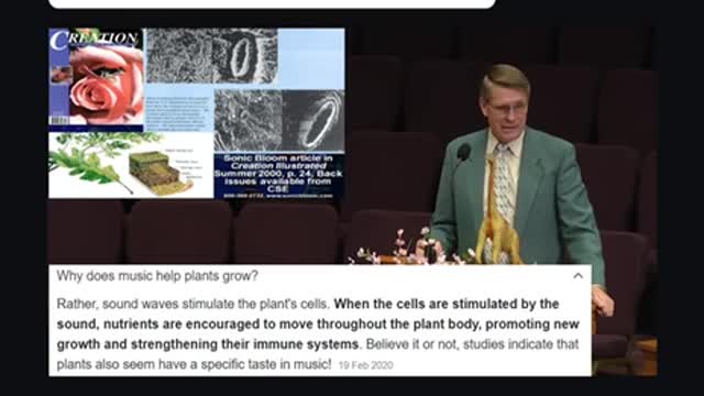 How Plants Grow with Music