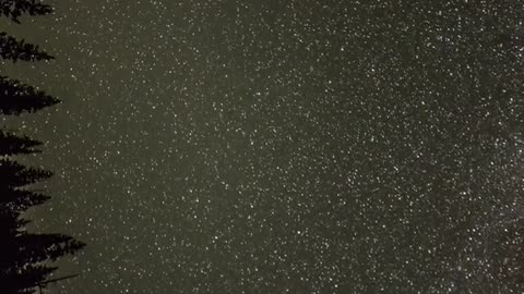 The Stars ✨